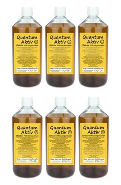 EM Aktiv 6 Liter von Quantum Einzelflaschen